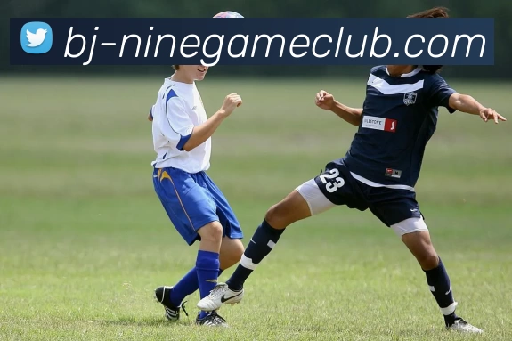 九游官方网站服务体系